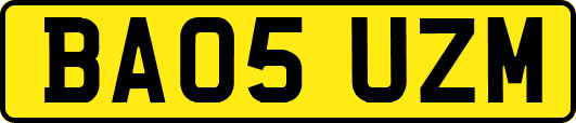 BA05UZM