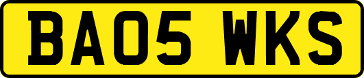 BA05WKS