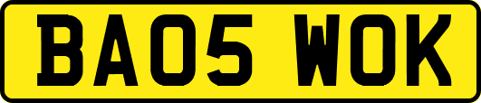 BA05WOK