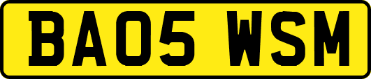 BA05WSM