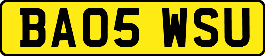 BA05WSU