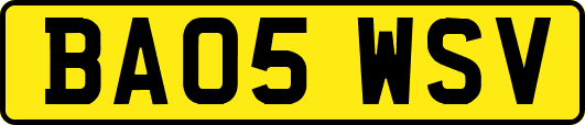 BA05WSV