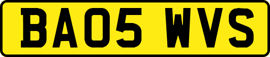 BA05WVS