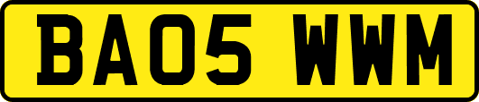 BA05WWM