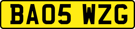 BA05WZG