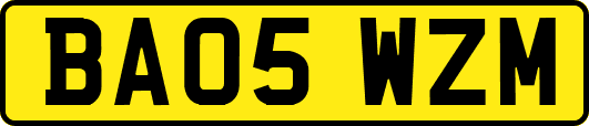 BA05WZM