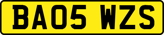 BA05WZS