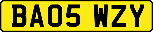 BA05WZY