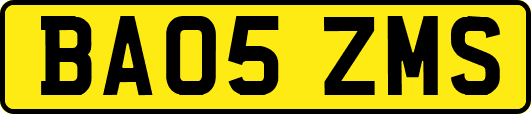 BA05ZMS