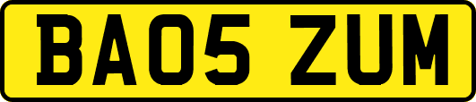 BA05ZUM