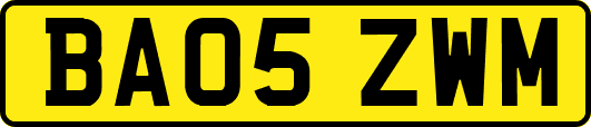 BA05ZWM