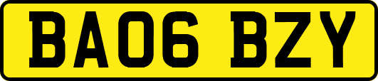 BA06BZY