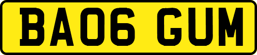 BA06GUM