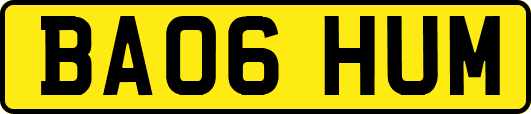 BA06HUM