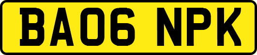 BA06NPK