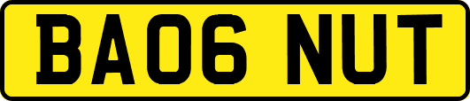 BA06NUT