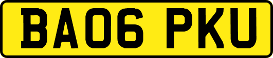 BA06PKU