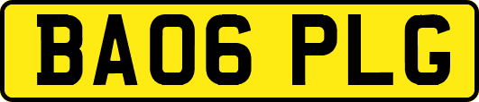 BA06PLG