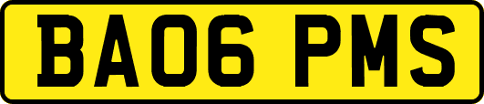 BA06PMS