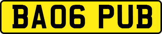 BA06PUB