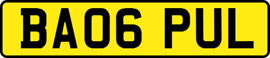 BA06PUL