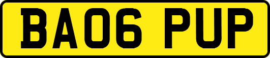 BA06PUP