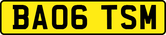 BA06TSM