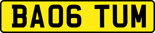 BA06TUM
