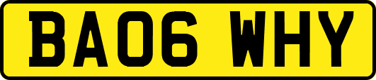 BA06WHY