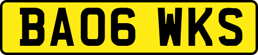 BA06WKS
