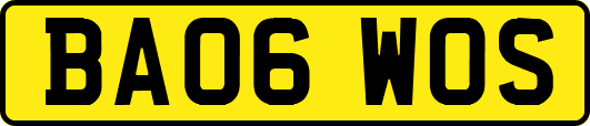 BA06WOS