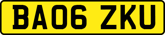 BA06ZKU