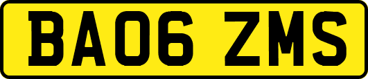 BA06ZMS
