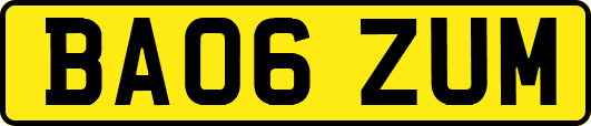BA06ZUM