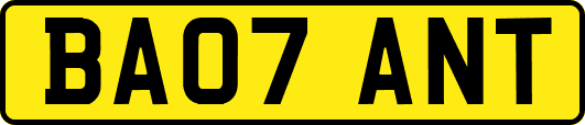 BA07ANT