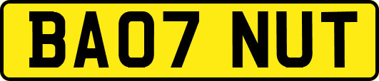 BA07NUT