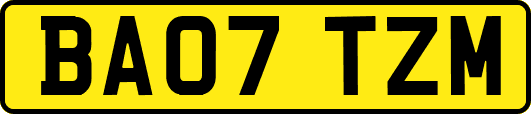 BA07TZM