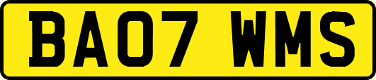 BA07WMS