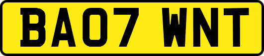 BA07WNT