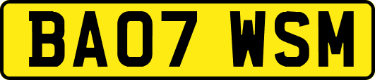 BA07WSM