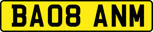 BA08ANM