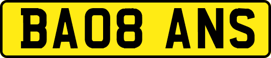 BA08ANS