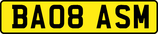 BA08ASM