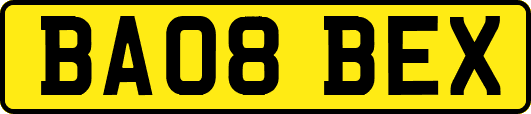 BA08BEX