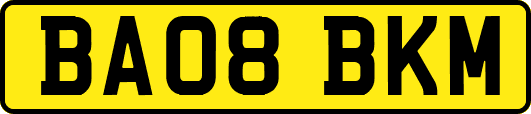 BA08BKM