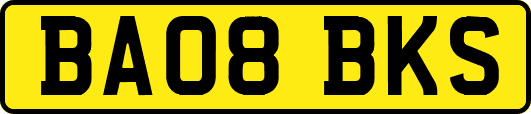 BA08BKS