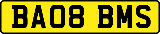 BA08BMS