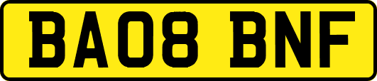 BA08BNF
