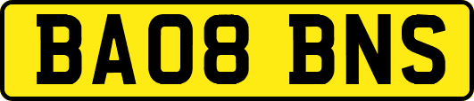 BA08BNS