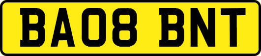 BA08BNT